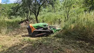 Defrisare vegetație necontrolata & arbuști, tuns iarba - imagine 5