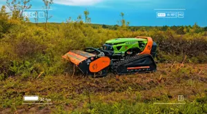 Defrisare vegetație necontrolata & arbuști, tuns iarba - imagine 6