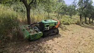 Defrisare vegetație necontrolata & arbuști, tuns iarba - imagine 7