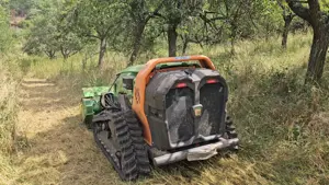 Defrisare vegetație necontrolata & arbuști, tuns iarba - imagine 9