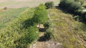 vind cas  in com g lbinasi jud. buz u cu toate utilit tile ap  curent  canalizare curent  suprafat   - imagine 4