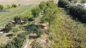 vind cas  in com g lbinasi jud. buz u cu toate utilit tile ap  curent  canalizare curent  suprafat   - imagine 9