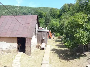 Anina, Sigismund, Casa 4 Incaperi, 1439mp Teren, ZERO Comision - imagine 17