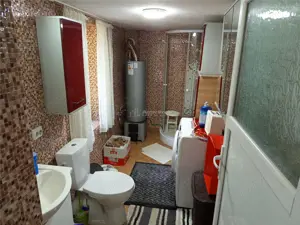 Anina, Sigismund, Casa 4 Incaperi, 1439mp Teren, ZERO Comision - imagine 8