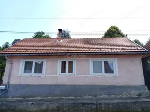 Anina, Sigismund, Casa 4 Incaperi, 1439mp Teren, ZERO Comision - imagine 14