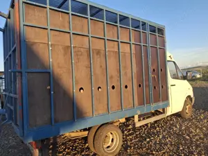 Transport animale vii