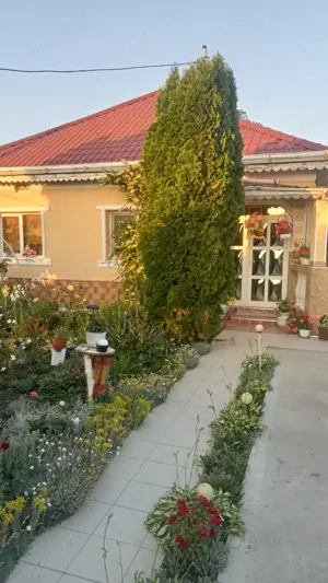 Vand casa din caramida + dependinte + teren 1500m2 in loc. Secuieni Noi, jud Neamt