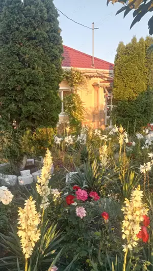 Vand casa din caramida + dependinte + teren 1500m2 in loc. Secuieni Noi, jud Neamt - imagine 5