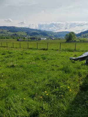 Parcele de teren in Statiunea Dorna Candreni.  - imagine 2