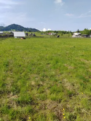 Parcele de teren in Statiunea Dorna Candreni.  - imagine 5