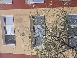 Vand apartament 2 cmere