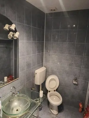 Spatiu comercial + imobil  - imagine 2