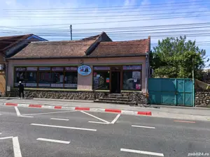 Spatiu comercial + imobil  - imagine 9