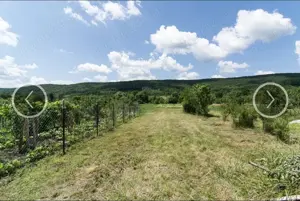 Casă cu teren 3500 mp la 11 km de Pitești  - imagine 9