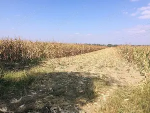 Vând 7.404 mp teren în comuna Călinești, județul Argeș