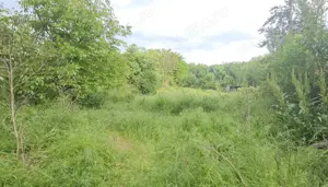 Casă batraneasca 3 cam + teren 1.056 mp cu iesire la lac, Petrachioaia - imagine 6