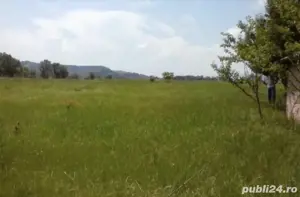 Vânzare teren extravilan