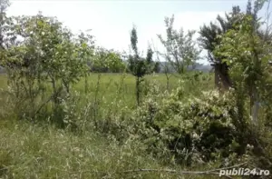 Vânzare teren extravilan  - imagine 4