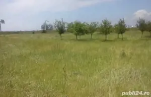 Vânzare teren extravilan  - imagine 2