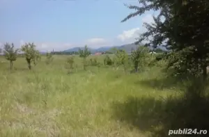 Vânzare teren extravilan  - imagine 3
