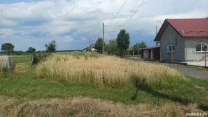 Vand teren Cocu - imagine 5