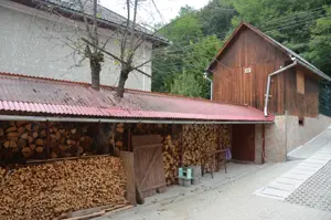 Vand casa in Campeni Alba - imagine 3