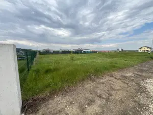 Eden Forest - Gulia - doua loturi - 1166mp - 57 Euro mp - imagine 5