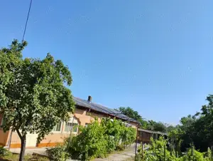 VIND casa curte Afumati - imagine 2