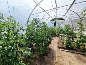 Proprietate mixta 1200mp teren locuinta si spatiu comercial   productie - imagine 10