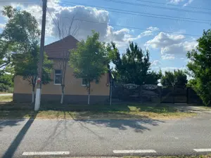 Casă + teren 2877 mp în Loc. Dolat, Com. Livezile   direct de la proprietar!