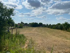 Casă + teren 2877 mp în Loc. Dolat, Com. Livezile   direct de la proprietar! - imagine 7