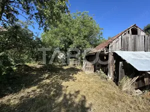 Casa cu potential de investitie in centrul satului 1540 mp teren  - imagine 5