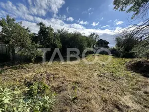 Casa cu potential de investitie in centrul satului 1540 mp teren  - imagine 14