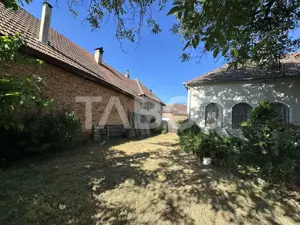 Casa cu potential de investitie in centrul satului 1540 mp teren  - imagine 3