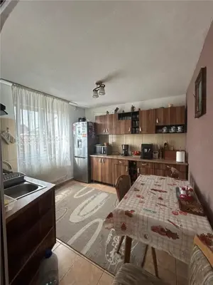 Sanmihaiul Roman- mobilata si utilata- strada asfaltata-4 camere- bucatarie de vara - imagine 4