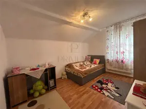 Sanmihaiul Roman- mobilata si utilata- strada asfaltata-4 camere- bucatarie de vara - imagine 12