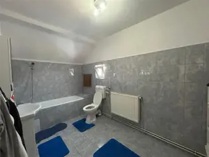 Sanmihaiul Roman- mobilata si utilata- strada asfaltata-4 camere- bucatarie de vara - imagine 13