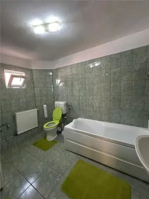 Sanmihaiul Roman- mobilata si utilata- strada asfaltata-4 camere- bucatarie de vara - imagine 10