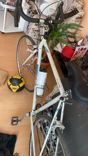 Bicicleta - cursieră