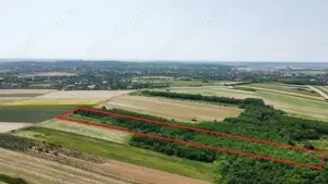 Teren de vanzare - 15.740 mp | Viile Satu Mare | Priveliste superba  - imagine 4