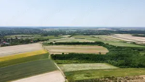 Teren de vanzare - 15.740 mp | Viile Satu Mare | Priveliste superba  - imagine 8