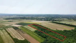 Teren de vanzare - 15.740 mp | Viile Satu Mare | Priveliste superba  - imagine 5