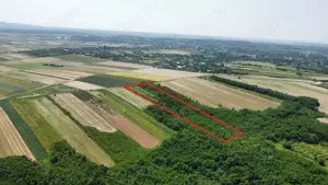 Teren de vanzare - 15.740 mp | Viile Satu Mare | Priveliste superba  - imagine 6