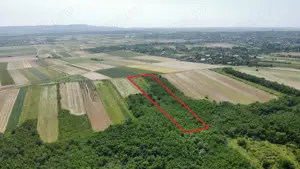 Teren de vanzare - 15.740 mp | Viile Satu Mare | Priveliste superba  - imagine 7