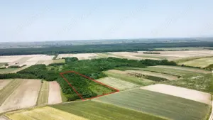 Teren de vanzare - 15.740 mp | Viile Satu Mare | Priveliste superba  - imagine 2