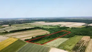 Teren de vanzare - 15.740 mp | Viile Satu Mare | Priveliste superba  - imagine 3