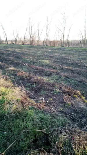 Vând Teren Intravilan  - imagine 2