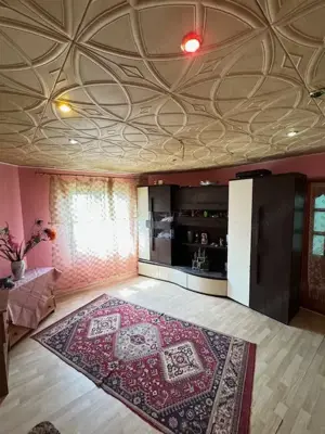 Casa cu etaj de vanzare sat Beresti, com. Sascut, jud. Bacau - imagine 13