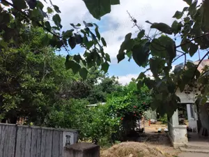 Vand casa   str Matei Basarab  Tecuci 