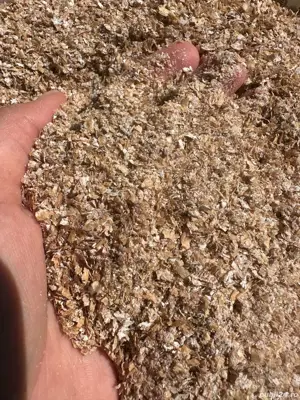 Porumb Moldovenesc sticlos si tărâță  - imagine 4